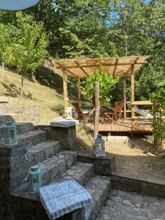 Hébergement de vacances La Casa Sui Colli