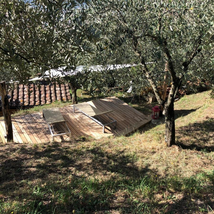 Hébergement de vacances La Casa Sui Colli *