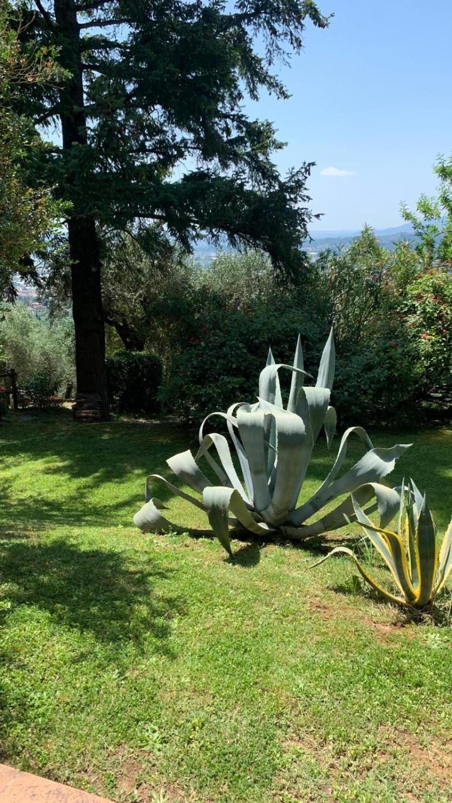 La Casa Sui Colli
