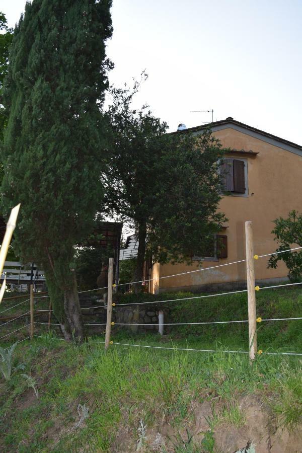 La Casa Sui Colli Uzzano