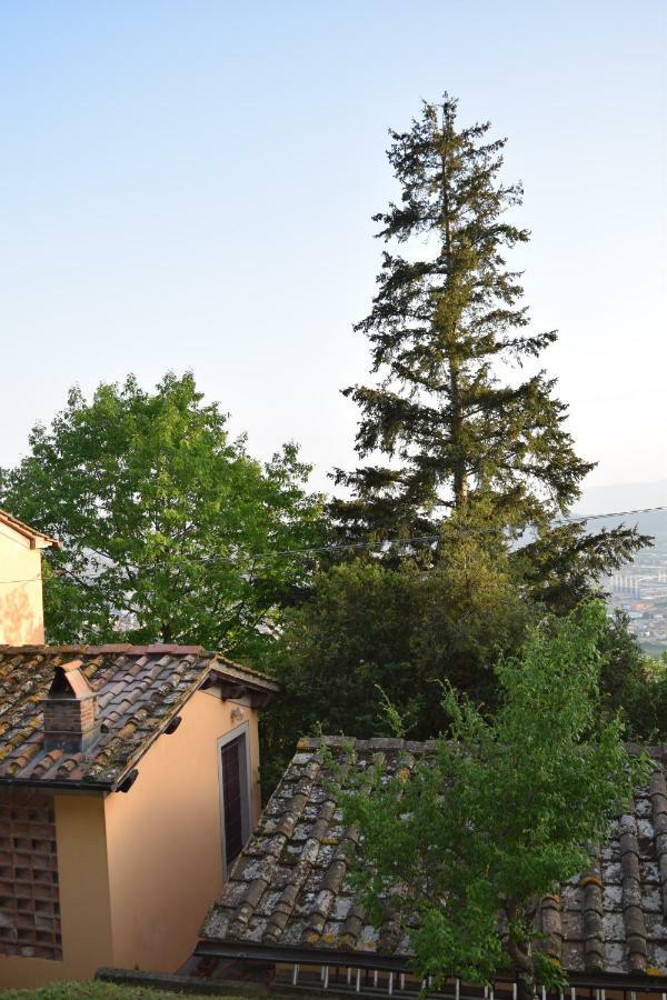 Holiday home La Casa Sui Colli Uzzano